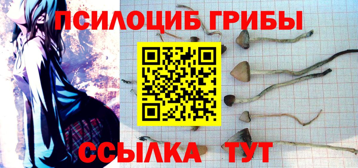 Галлюциногенные грибы MAGIC MUSHROOMS Красный Сулин