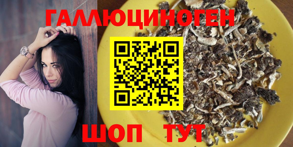 Псилоцибиновые грибы Psilocybe  Вход с VPN  Красный Сулин 